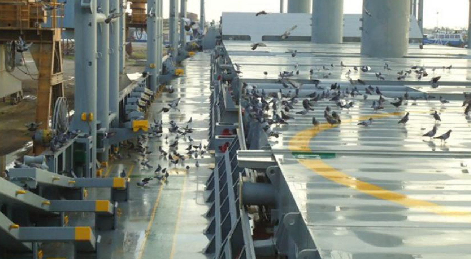 昌華勞務(wù)海員招工啦！